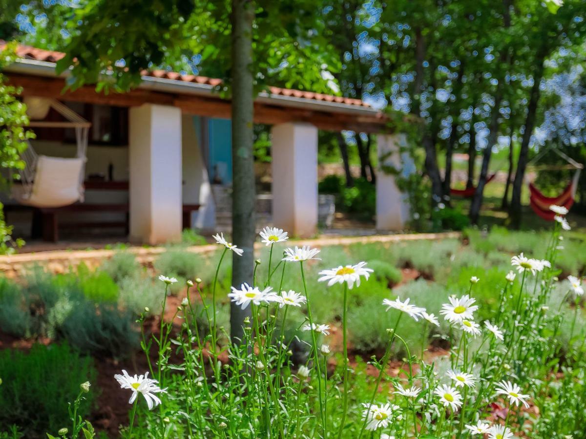 Holiday Home Country House D&D By Interhome Пула Экстерьер фото